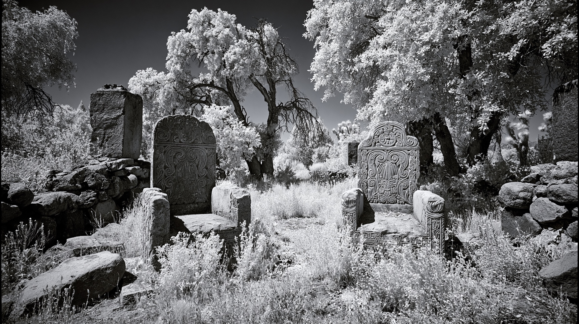 Two carved stone steles facing each other across a ruined grove